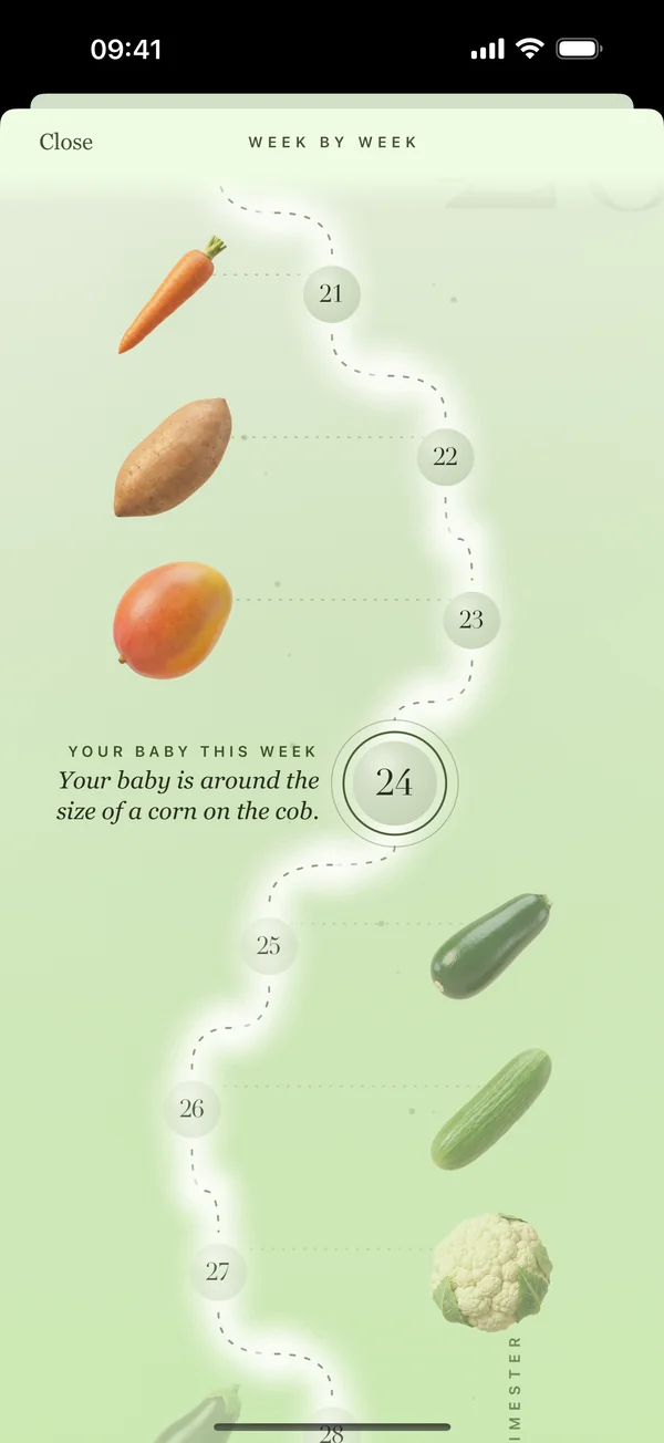 Nanela week-by-week path